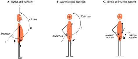 Image result for Rotation Joint Movement