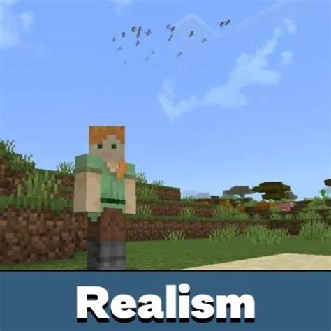 Image result for Minecraft Realism Mod