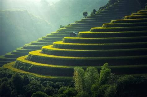 Home [vedic.fotosalons.in]