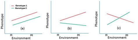 A Review and Meta-Analysis of Genotype by Environment Interaction in ...
