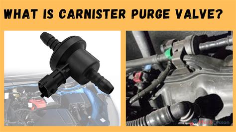 What is A Carnister Purge Valve, Its Diagram & How it work? - ML