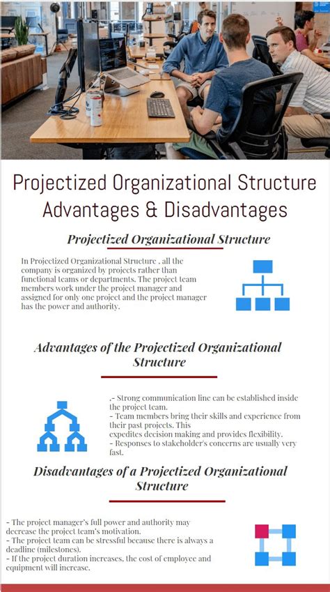 Projectized Organization Structure 的图像结果