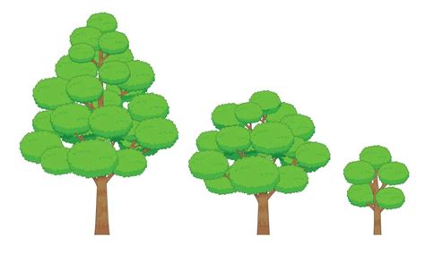 Image result for Growth Tree Object Lesson CEF