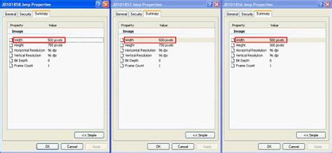 Batch Resize 的图像结果