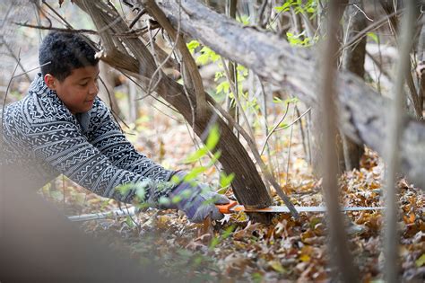 Showcasing the DNR: Volunteers help DNR battle invasive species at ...