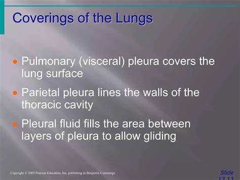 respiratory system anatomy and physiology by Dr.niveditha | PPTX