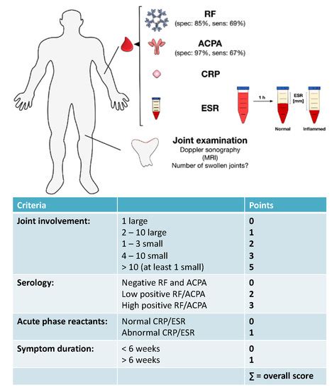 Update on the Pathomechanism, Diagnosis, and Treatment Options for ...