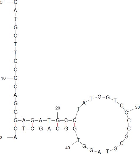 Labels KeyShot 的图像结果