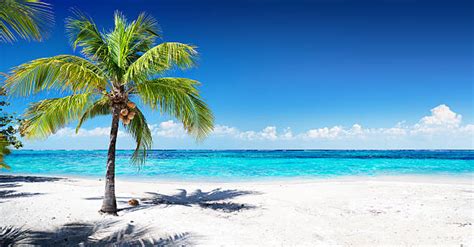 Image result for Beach Python Code