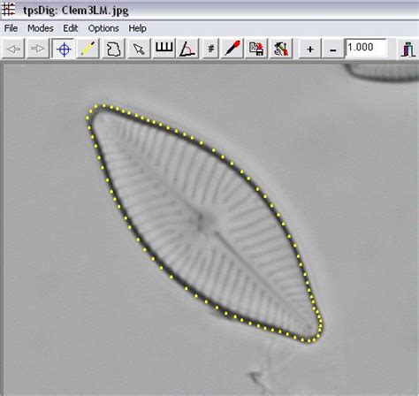 Digitizing Outlines 的图像结果