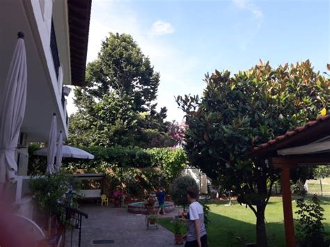 DIONYSOS (Asprovalta) - Apartment Reviews & Photos - Tripadvisor