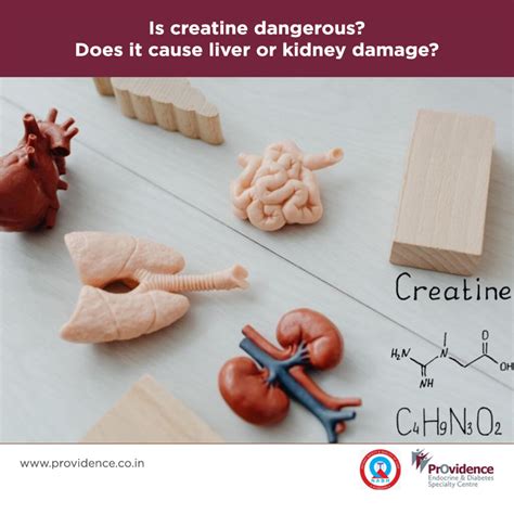 Is creatine dangerous? Does it cause liver or kidney damage?