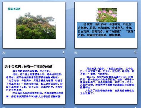 《合欢树》读后感(通用7篇)-Word模板下载_编号lvvpdoen_熊猫办公