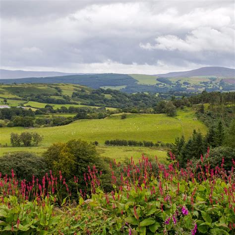 CAERAU GARDENS (2025) All You Need to Know BEFORE You Go (with Photos ...
