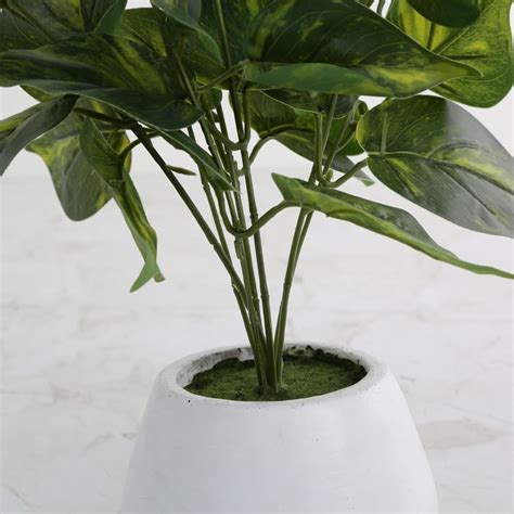 Buy Gardenia Artificial Plant in Ceramic Pot from Home Centre at just ...