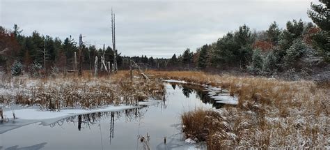 Bear Lake Loop, Wisconsin - 74 Reviews, Map | AllTrails