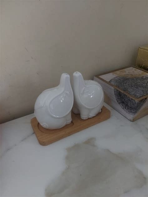 Buy HOMIES INTERNATIONAL Ceramic Elephants Animal White Shaker Salt and ...