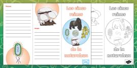 Ficha de actividad: Ruleta de los cinco reinos de la naturaleza