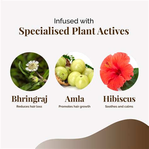 Buy Organic Hair Growth Oil, Anti Hair Fall Oil - Life & Pursuits