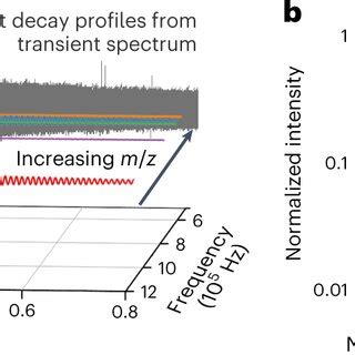 Image result for Orbitrap Block Diagram