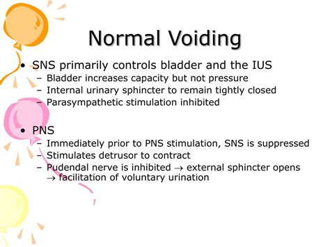 Image result for Catheterization Process