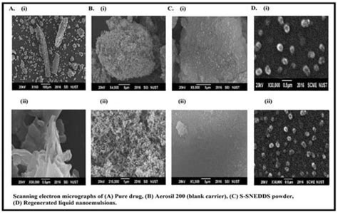 Self-Emulsifying Drug Delivery Systems (SEDDS): Measuring Energy ...