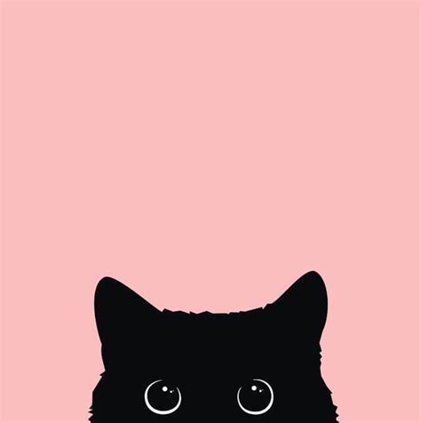 Image result for Cat Taking Using Computer