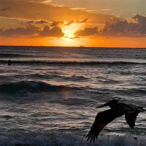 HOTEL RIU TEQUILA (Riviera Maya/Playa del Carmen) - All-inclusive ...