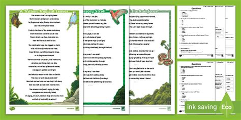 Rainforest Poems KS2 Differentiated Reading Comprehension Activity
