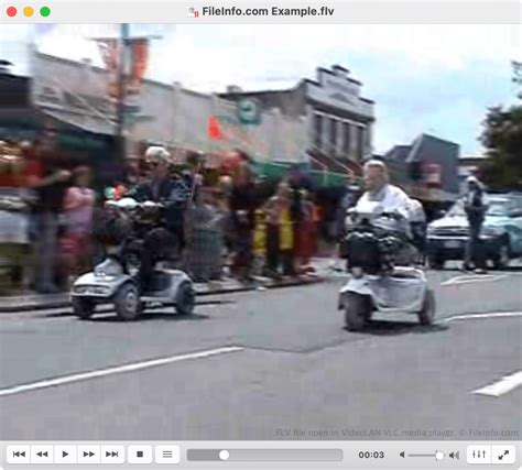 Image result for FLV File Player