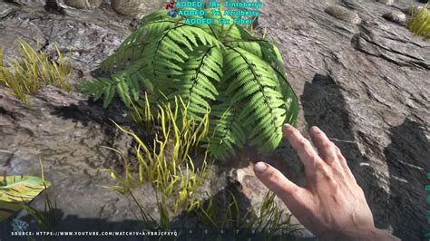 Ark Guide 的图像结果