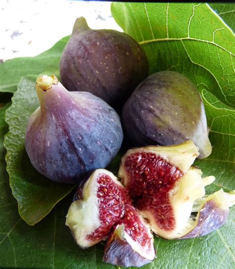 How To Say Fig In Spanish at Christian Brown blog
