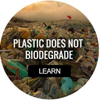 Environmental Issue 的图像结果