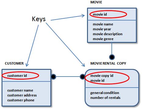 Function Key Model 的图像结果