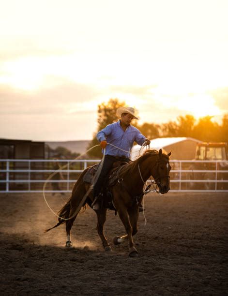 Image result for Girls Team Roping