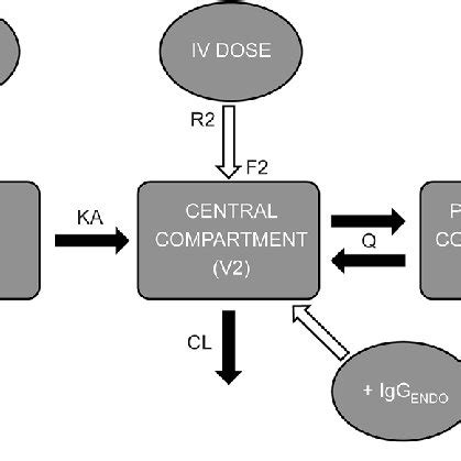 +Two Compartment PK Modelling with Mathematica 的图像结果