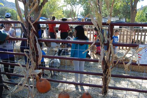 Frandy Campground Gallery | Kern River Camping 93238