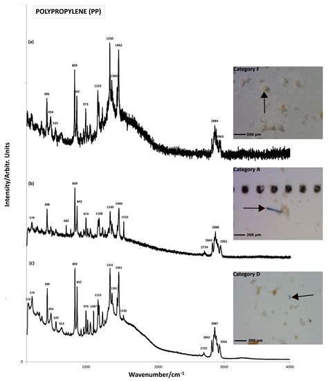 Identification of Microplastics Using µ-Raman Spectroscopy in Surface ...