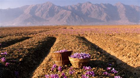 5 trips to make to celebrate India’s crafts and produce | Condé Nast ...
