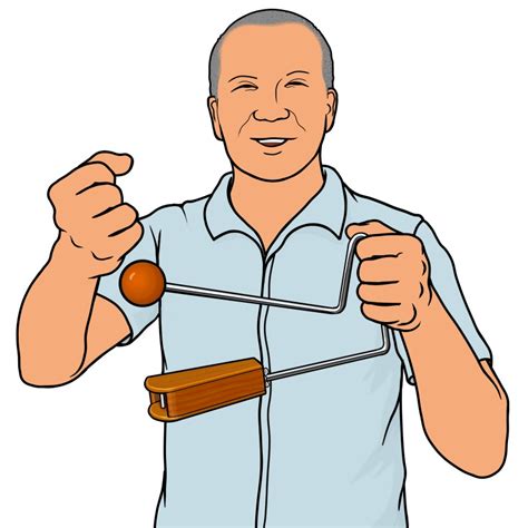 Rezultat imagine pentru VIBRASLAP