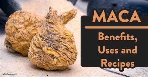 Image result for MACA