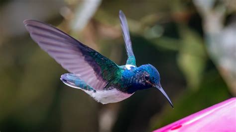 Image result for Color Emphasis Photography