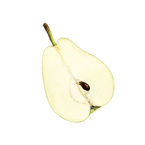 COVER magazin.com – Suvremeni lifestyle portal