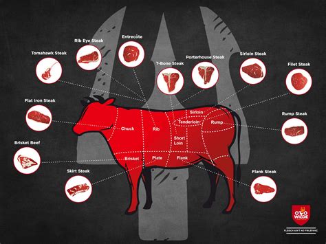 Diagram of Essential Steak Cuts for Grilling