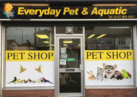 Pet Store That Sells Birds at Rebecca Santana blog