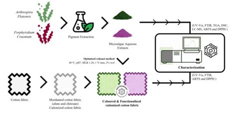 Sustainable Dyeing and Functionalization of Knitted Cotton Fabrics with ...