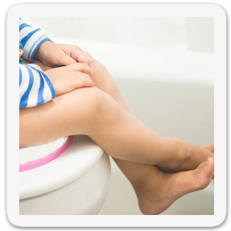 3 Day Potty Training Method - The Big Red Barn