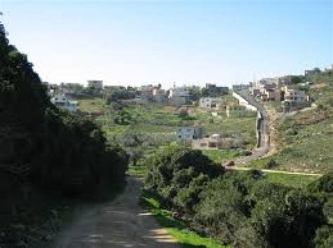 Isfiya Tourism (2026) Israel - Best Places to Visit in Isfiya, Isfiya ...