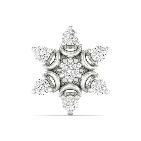 Nose Pin and Second Ear Piercing