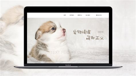 宠物WEB|网页|企业官网|小梦铖吖 - 原创作品 - 站酷 (ZCOOL)